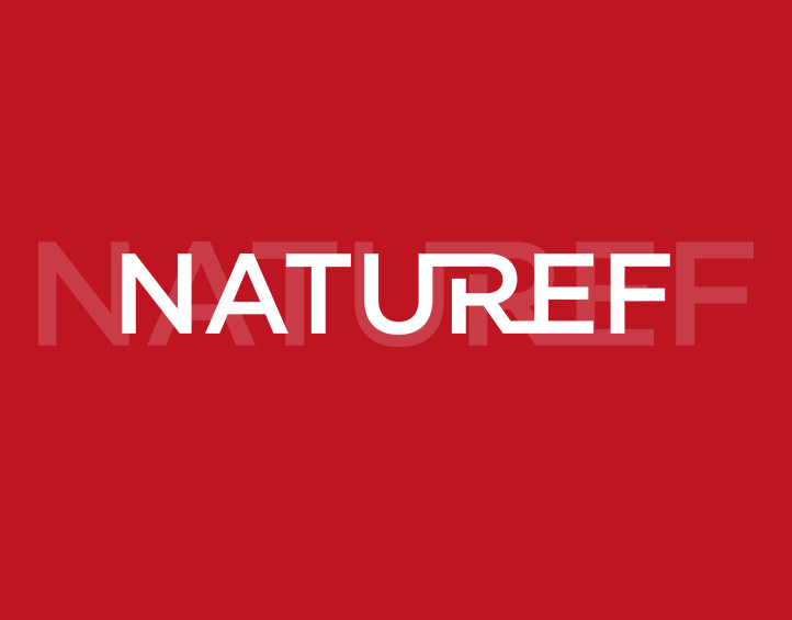 logo bg